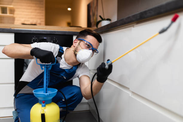 Best Affordable Pest Control Services  in St Johns, AZ