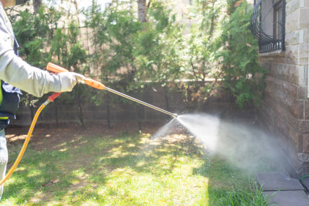 Best Rat Extermination Near Me  in St Johns, AZ