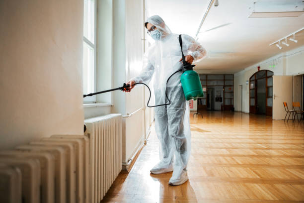 Best Pest Removal Services  in St Johns, AZ