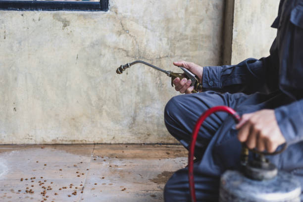 Reliable St Johns, AZ Pest Control Solutions